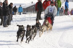 Lenk 2012 SM